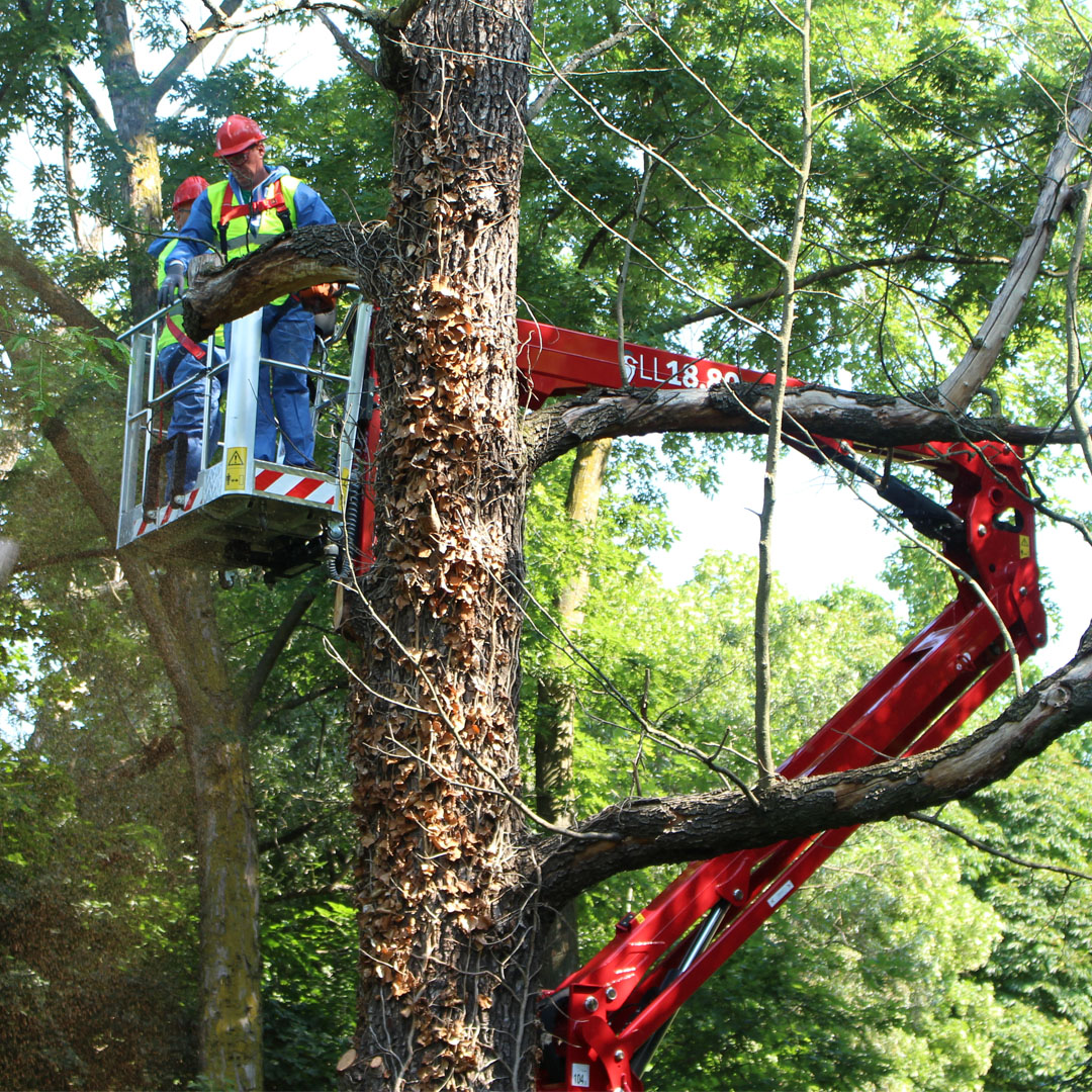 Hinowa Lightlift 18.80 Lightlift Performance serisi